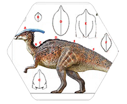 動く 叫ぶ ステゴサウルス 恐竜レンタル 企画 製作 販売 ならdeluxsダイナソー