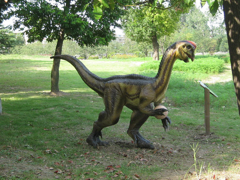 オヴィラプトル Oviraptor Japaneseclass Jp