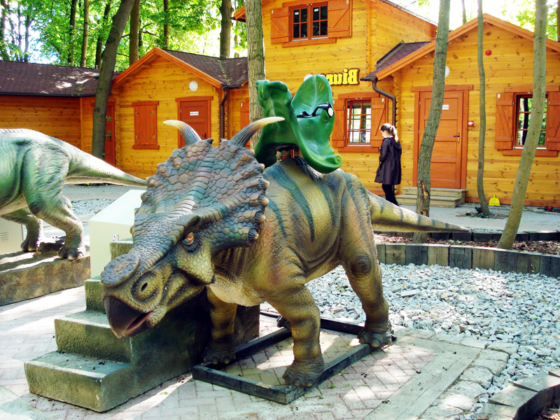 【乗る】パキケファロサウルス