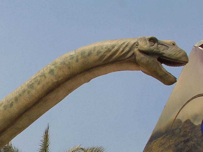 恐竜図鑑 アルゼンチノサウルス編 恐竜レンタル 企画 製作 販売 ならdeluxsダイナソー