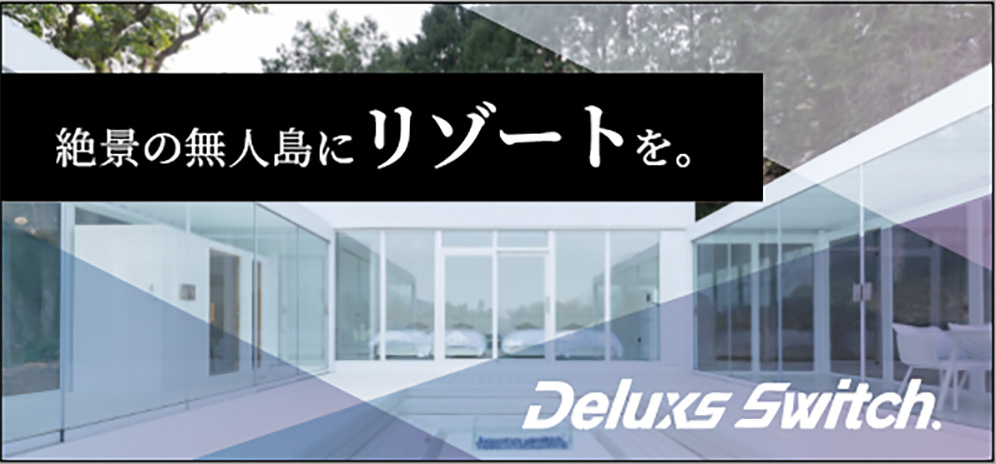 deluxs switch